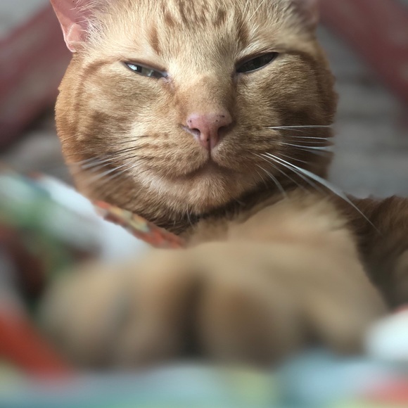 Meet your Posher, Andrea - Picture 7 of 16